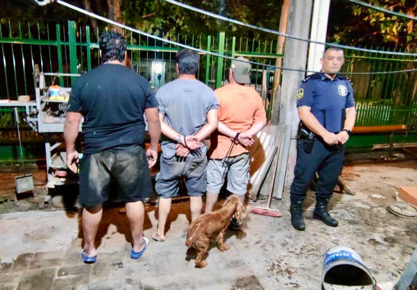 NOTICIAS PILAR: CAE BANDA QUE REALIZABA ENTRADERA EN MANZANARES