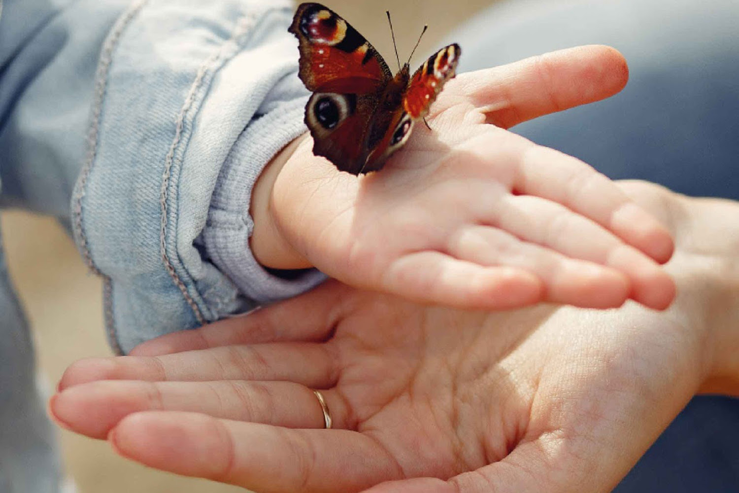 NOTICIAS DE TIGRE: AFIANZANDO LAZOS 